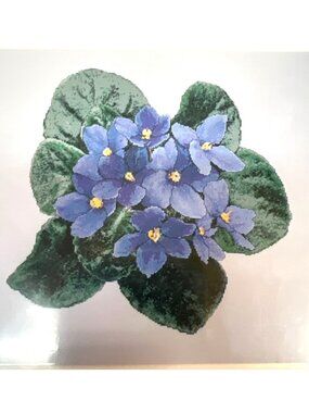 African Violets Cross Stitch Pattern By The Silver Lining208x208 Stitch Count